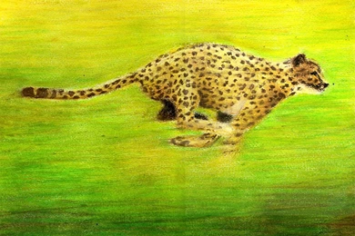 DeviantArt: More Like Snow Baby By Athina13