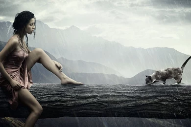 Beautiful Wallpapers   Splendid Wallpapers HD