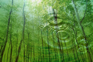 Nature Backgrounds HD Wallpapers