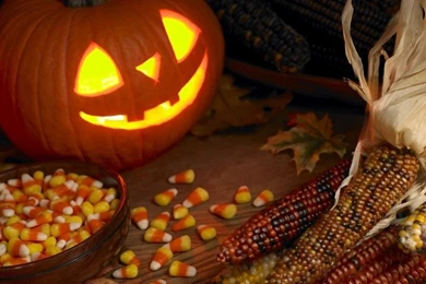 Photo Of Jack o latern Pumpkin, Indian Corn, Candy Corn, And Fall ...