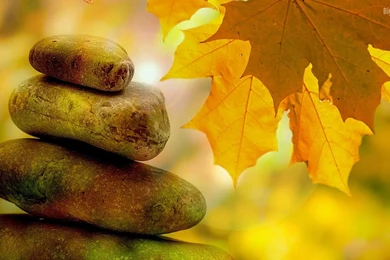 10 Best Autumn HD Wallpapers