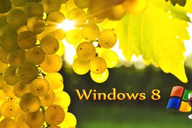 TM.Wallpapers Wide Wallpapers E HD Wallpapers   Windows 8 ...