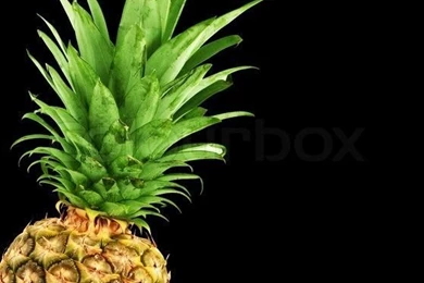 Backgrounds A Pineapple Bark