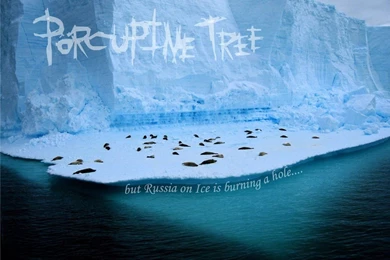 Browsing Wallpapers On DeviantArt