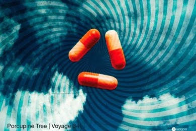 Porcupine Tree Desktop   1024 X 768 Pixels