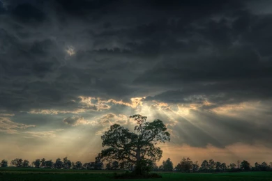 Official: Post Your Desktop Thread Ver. 2   GameReplays.org