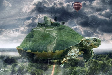 Tortoise Animals Sheep Turtle Islands Houses Cg Dugutal Art ...