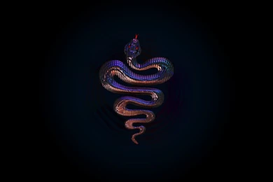 3d Snake Wallpapers