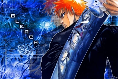Cool Bleach Wallpapers   Widescreen HD Wallpapers