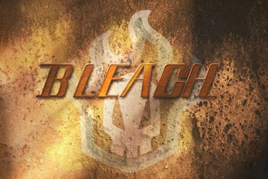 10 UNSEEN Bleach Wallpapers