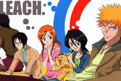 Bleach Wallpapers Best Friends Fox   (
