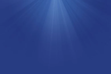 Free Download Wallpapers HD : January 2015