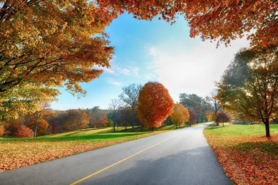 Beautiful Landscape Desktop Wallpapers And Picture