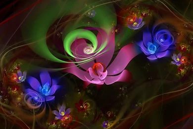 Colorful Flowers Desktop Background.jpg