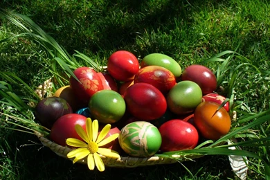 Colourful Easter Eggs