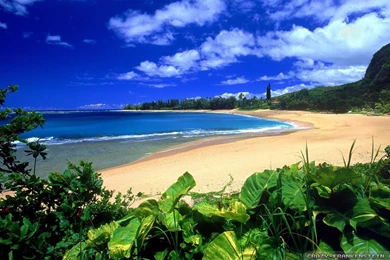 Hawaii Maui Wallpapers 1600x1200 Hawaii Maui