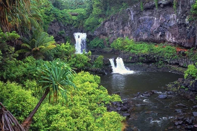 Maui Hawaii Waterfall   Free Wallpapers Page