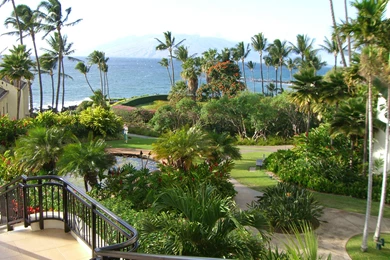 The Shop At Wailea, Maui >> HD Wallpaper, Get It Now!