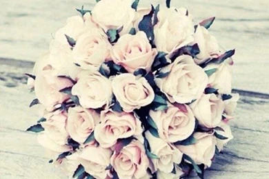 Gallery For   Vintage Backgrounds For Iphone