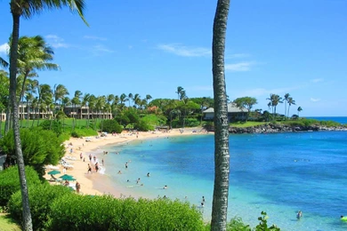 Best Beach   Kapalua Bay, Maui 1440x900 Wallpapers
