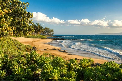 Polo Beach Maui Hawaii Paradise Island Sea And Sand   (