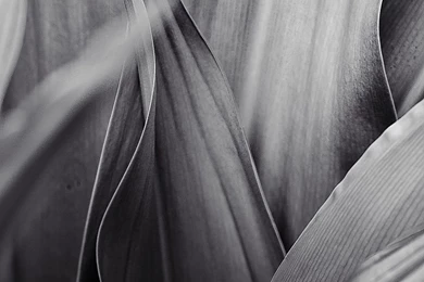 Galaxy S4 Wallpapers Thread 1080 (horizontal) X 1920 (vertical ...