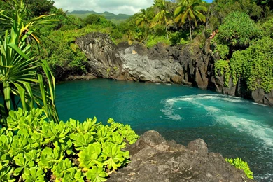 Maui Hawaii Wallpapers   182450