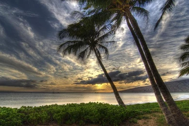 MAUI SUNSET WALLPAPER   (