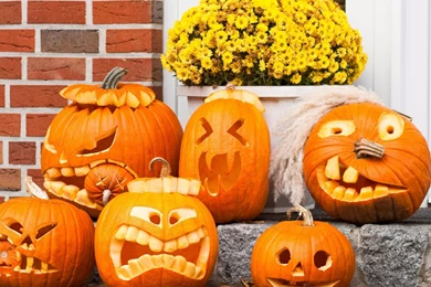 Pumpkins Laughing 2880x1620 Wallpapers Download. Free Widescreen ...