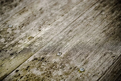 Another Old Floorboards Wooden Backgrounds Texture