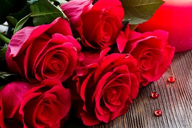 Roses Bouquet HD Wallpapers Download For Desktop & PC
