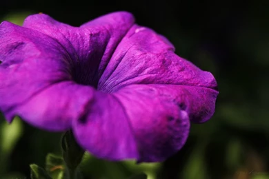 HD Wallpapers 720p   Wallpapers Cave