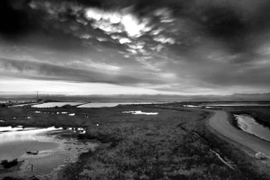 Beaches Beach Strand Seaside Black White Nature Phone Wallpapers ...