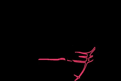 Seikon No Qwaser LineArt By Darktenshiii On DeviantArt