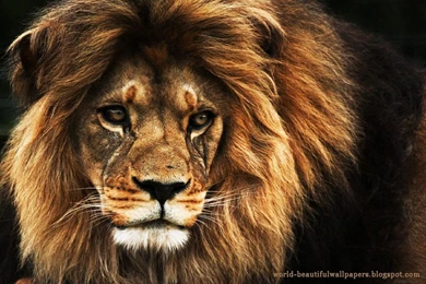 Paulbarford Heritage The Ruth: June 2013