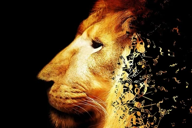 3D Lion Music Note Wallpapers High Resolution Wallpaper, Size ...