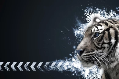 Abstract Tiger Wallpapers