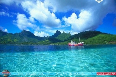 Wallpapers Brands   Advertising > Wallpapers Quiksilver Wallpapers ...