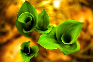 Great World Wallpaper: Hd Wallpapers For Desktop 1920x1080