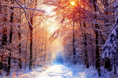 Winter Wallpapers Widescreen