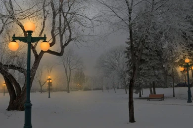 Winter Night HD Wallpaper, Winter Night Images, New Wallpapers