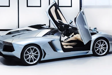 Lamborghini Aventador Roadster.jpg