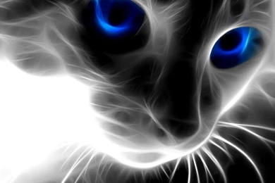 Desktop animal computer backgrounds.jpg