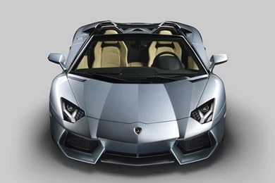 Lamborghini Aventador Roadster 2014   Free Car Wallpapers HD