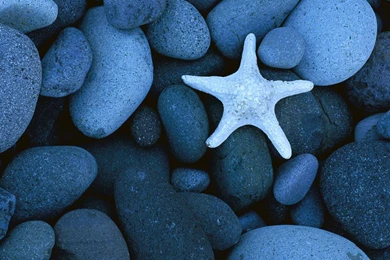 Stone Wallpapers 13 Best Wallpapers Collection