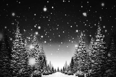 Beautiful Girl Princess Abstract Girls Forest (id: 65478) – BUZZERG