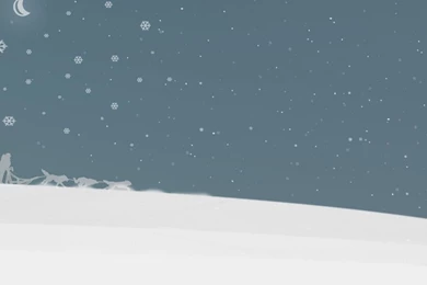 1280x960 Snow Husky Night Desktop PC And Mac Wallpapers