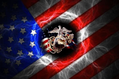 DeviantArt: More Like USMC Veterans Day By PraetoriusLexicus