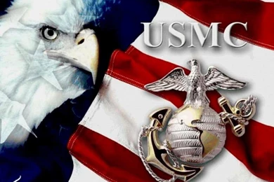 USMC THE FEW THE PROUD THE BRAVE WALLPAPER   (