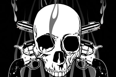 DeviantArt: More Like SKULL N GUNS By Alex Barrera